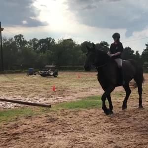 Meet your Posher, Tori